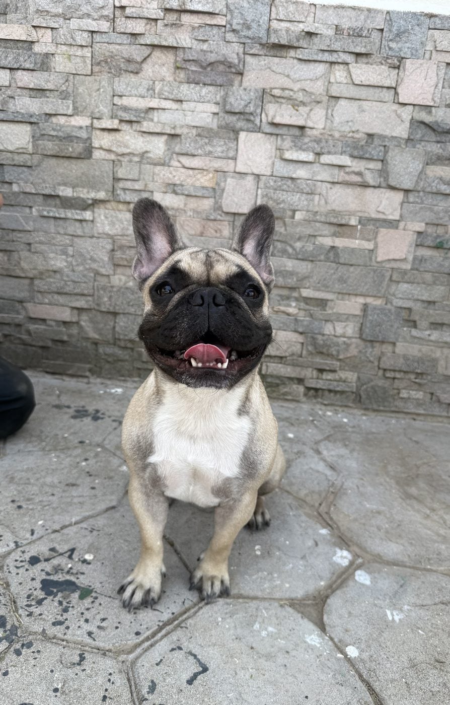 Luna